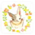 墨磊表情制作器 V1.0 绿