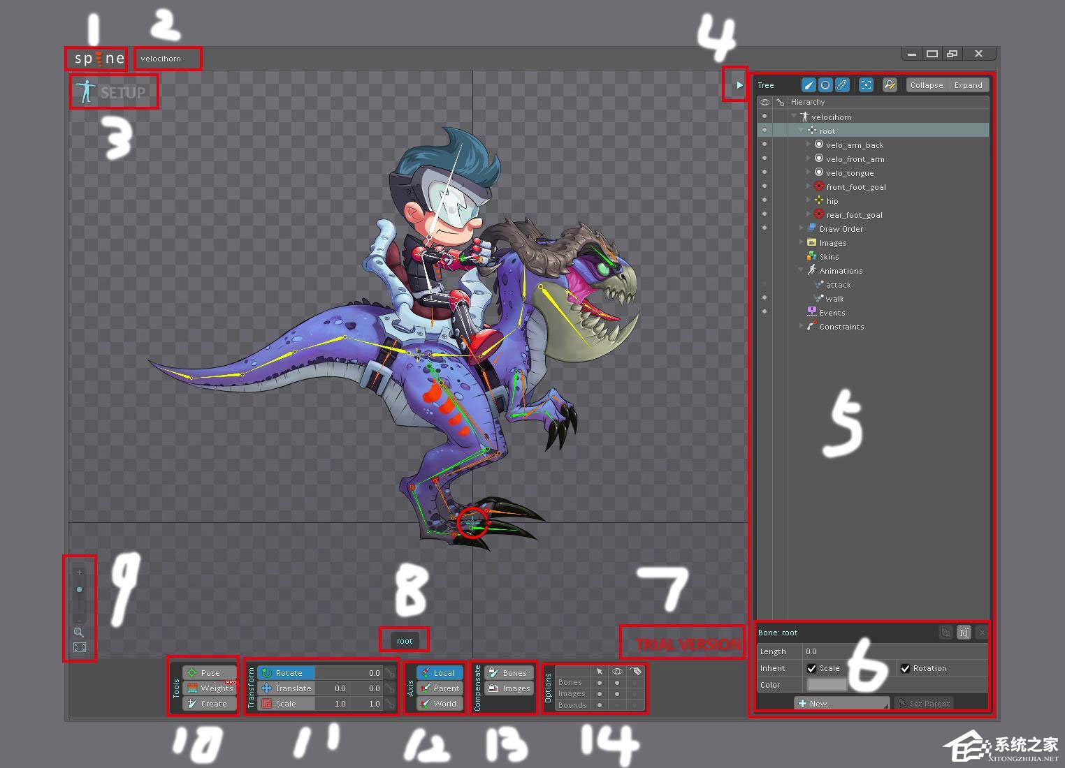 Spine(2D骨骼动画制作软件) V3.7.06 中文版