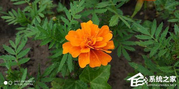 小米Max 3值不值得买？小米Max 3手机全面评测